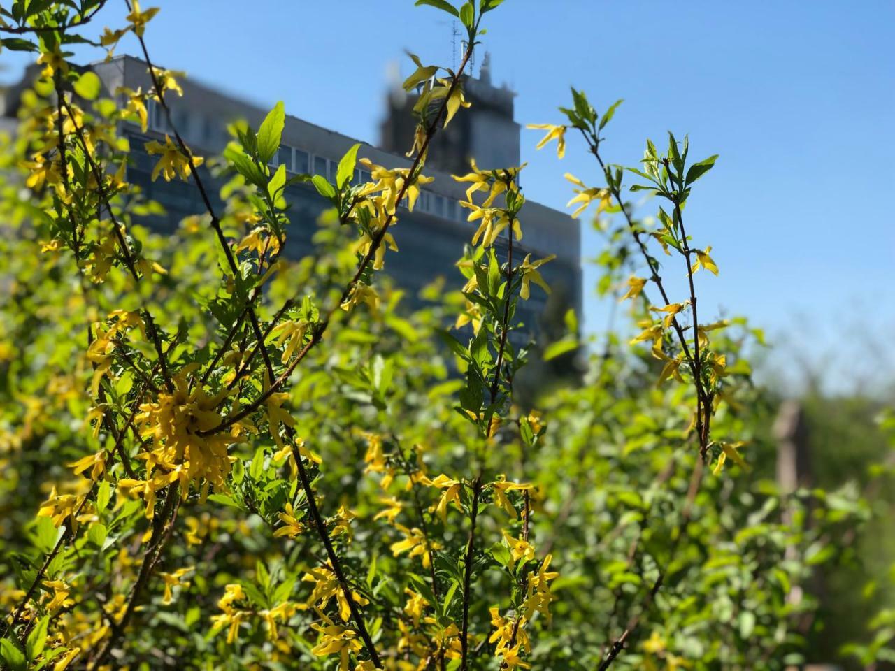 Juno Apartman Vendégház Miskolc Exterior foto